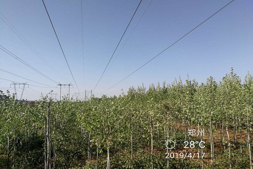 微信圖片_20190417170120