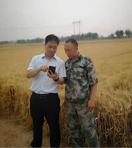 圖片3