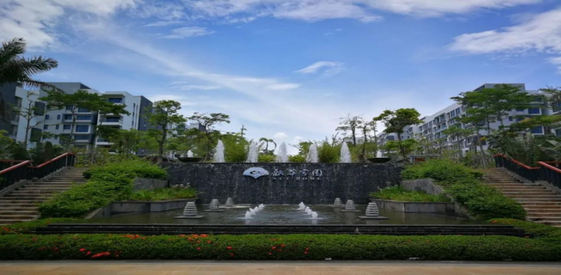 圖片10