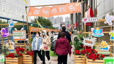銀基國慶活動稿件(修改)728