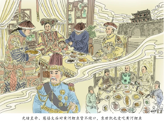 《千年一魚》連載 黃河鯉魚為何能成為“頭牌”463