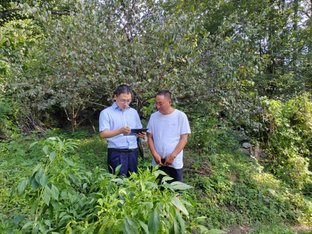 “鏈”上金融全力服務秋收秋種753