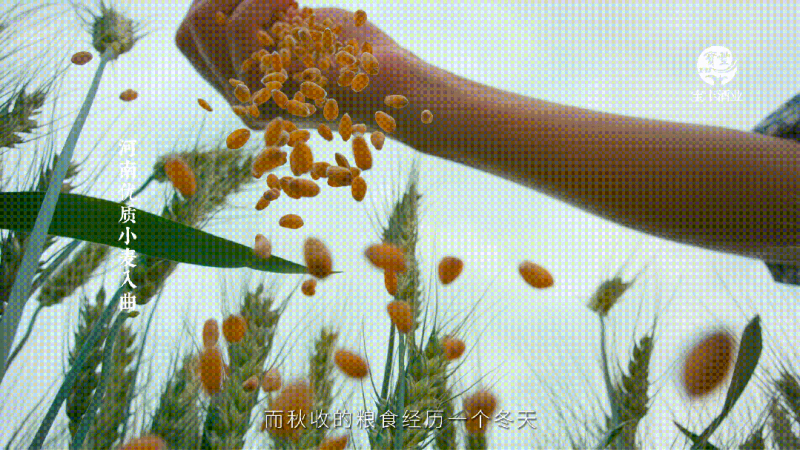 圖片 4