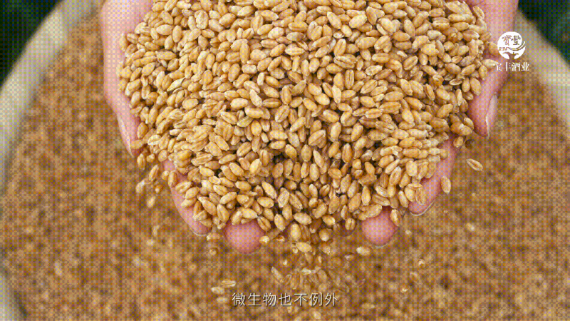 圖片 5