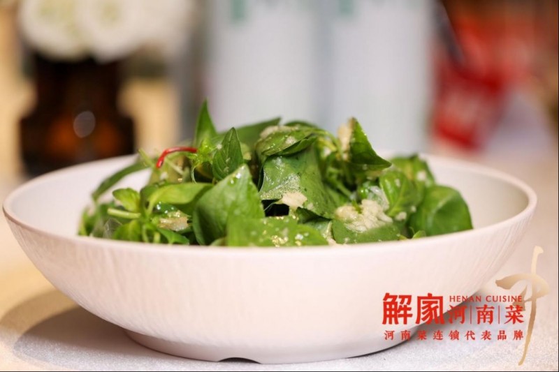 解家河南菜 × 金星啤酒聯(lián)名開新品發(fā)布會(huì)1098