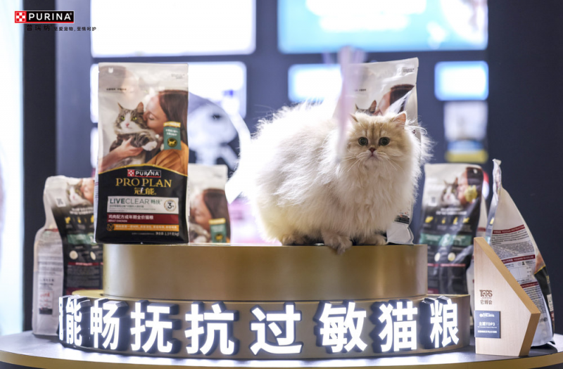 圖片 2